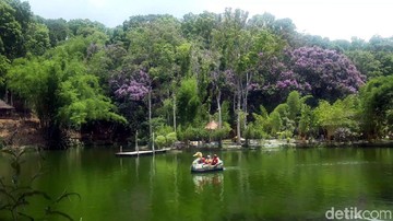 Ekowisata Boon Pring Malang, Wisata Edukasi Hutan Bambu di Turen