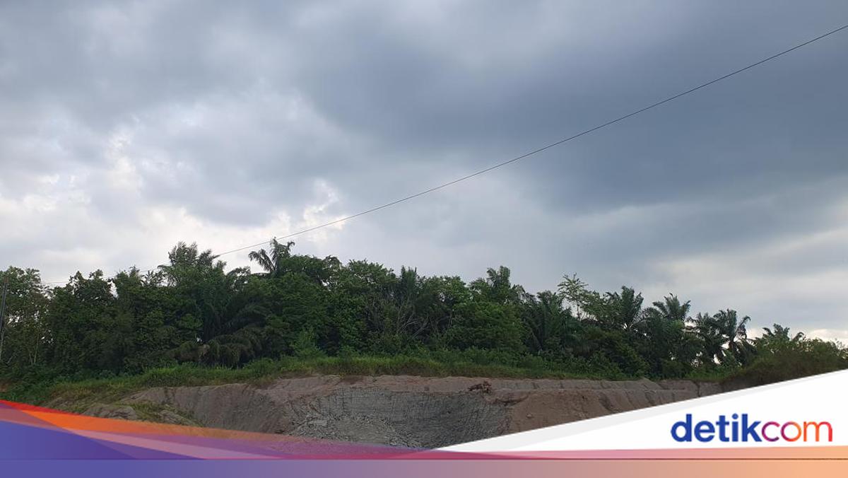 BMKG Prakirakan Udara Kabur Merata di 11 Kabupaten dan Kota Jambi, Suhu Terendah 15°C di Kerinci