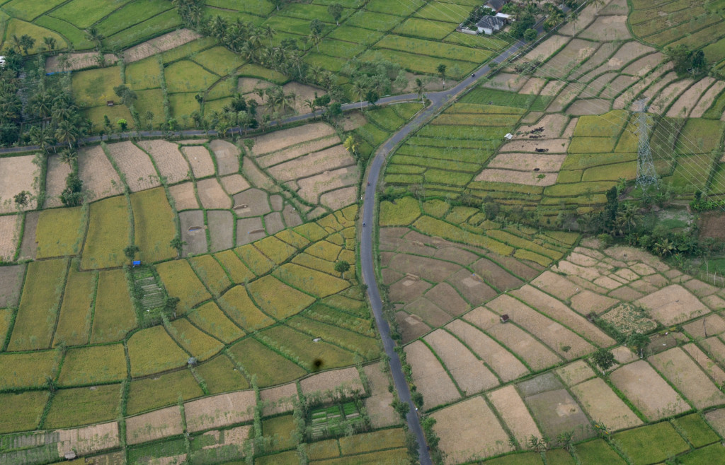 Perum Jasa Tirta II Optimalisasi Irigasi, 356 Hektare Sawah di Bekasi Terairi