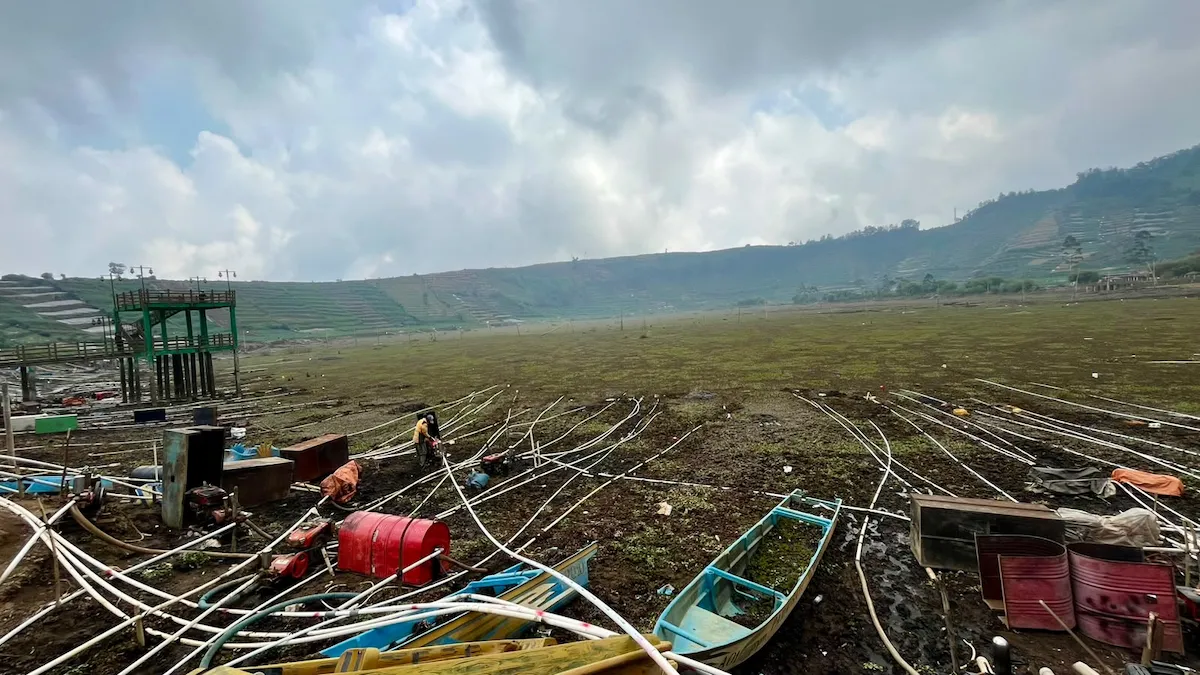 Pemkab Banjarnegara Bersihkan Eceng Gondok Telaga Merdada Saat Air Surut, Siapkan Destinasi Penyangga Dieng