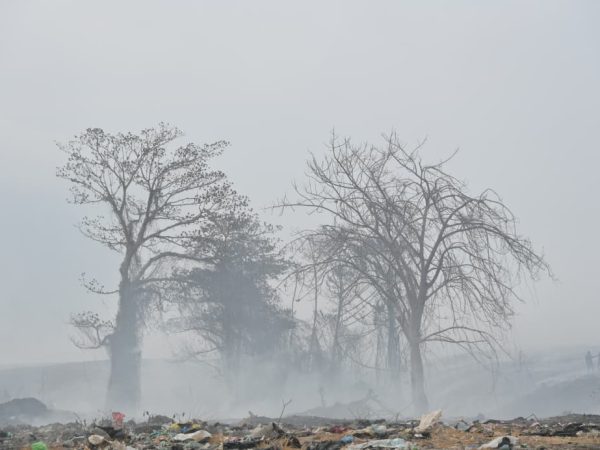 Kebakaran TPA Buku Deru-Deru Ternate Lumpuhkan 32 Pemulung, Warga Jambula Mengungsi Hindari Asap