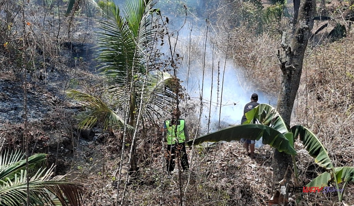 Dua Kebakaran Lahan Landa Kebumen dalam Sehari, 5,7 Hektare Hangus di Buayan dan Karangsambung