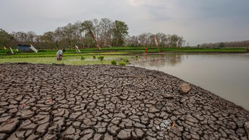 Riset CIL Prediksi 19.300 Kematian Berlebih di Indonesia Akibat El Nino 2026