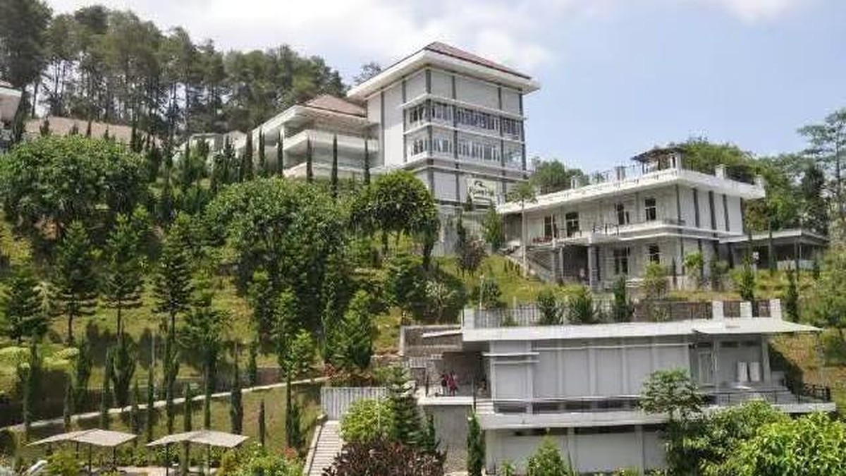 Hotel Bali Ramai Dilego Online, Colliers: Itu Normal, Okupansi Masih 69%-70%