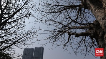 Super El Niño 2027 Ancam Panen, Inflasi Pangan Indonesia Diprediksi Naik
