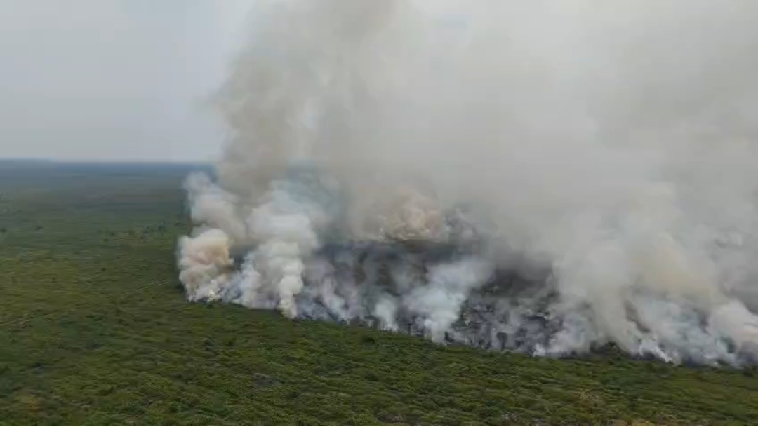 Karhutla Jambi: 144 Hotspot Terdeteksi, ISPU Muaro Jambi Tembus 617, 18 Tersangka Diamankan