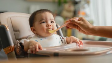 7 Resep Nasi Tim Bayi 8 Bulan, Mudah Dibuat dan Tinggi Kalori