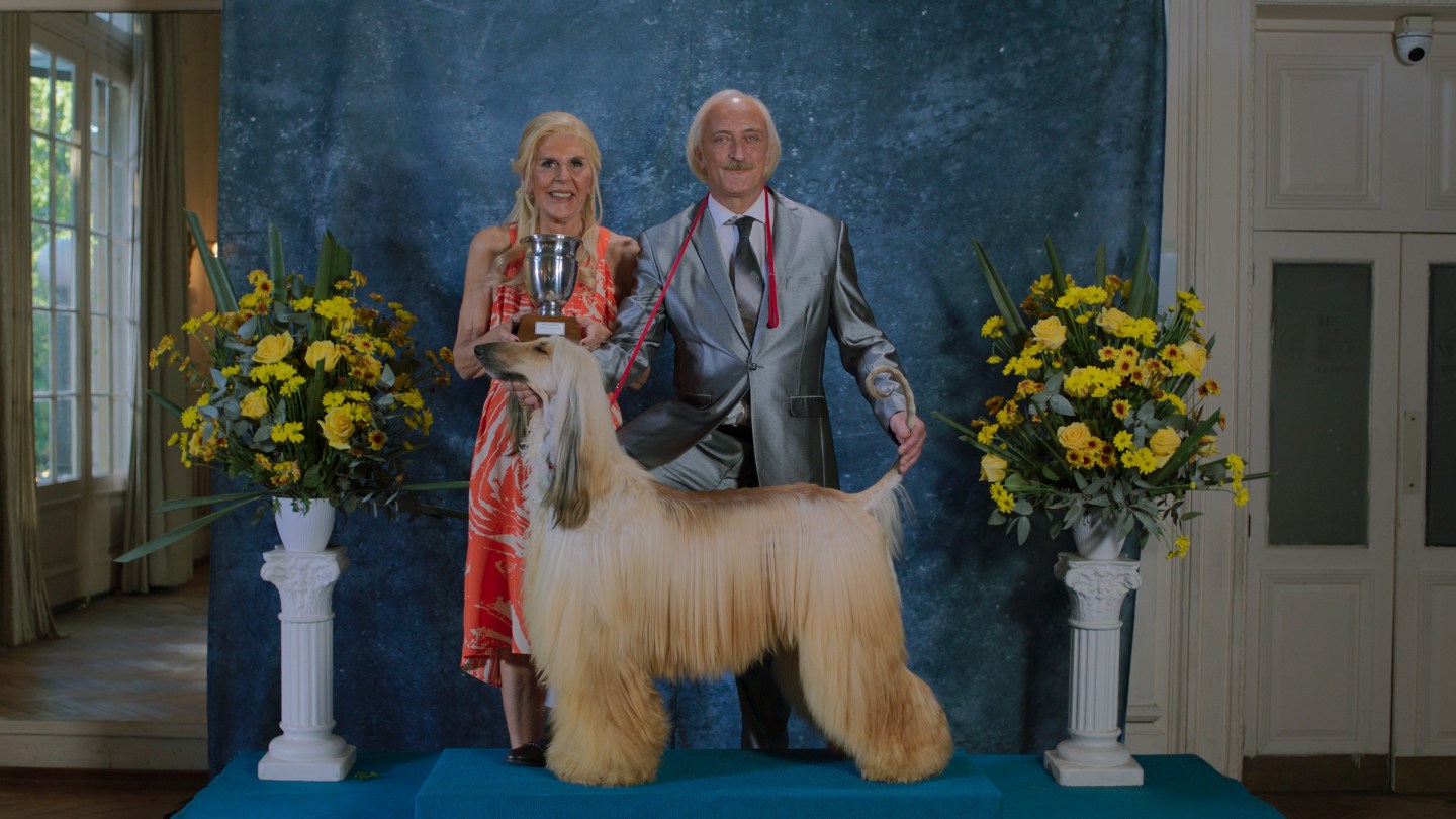 Prince Tayang Perdana di London Film Festival, Perebutan Hak Asuh Anjing Show