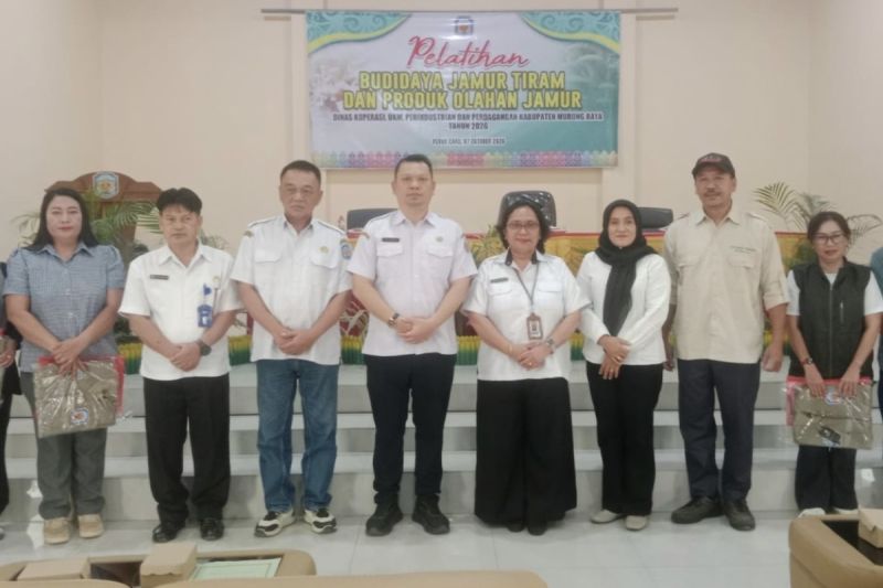 Diskop UKM Murung Raya Latih 20 Warga Budi Daya Jamur Tiram, Buka Peluang Usaha Baru UMKM