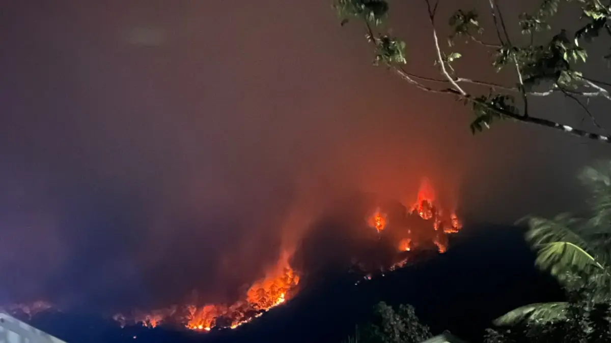 Gugatan Class Action Karhutla Kalbar Didaftarkan ke PN Pontianak, 10 Pejabat dan Lembaga Digugat