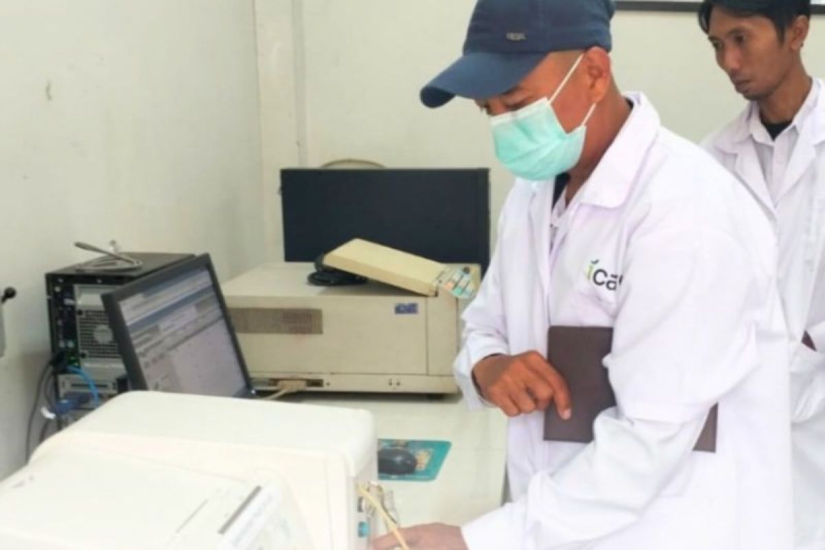 BBRMP Maluku Kirim 2 Pegawai Ikuti Pelatihan Mutu Benih dan Laboratorium Tanah