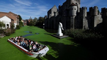 Gelombang Panas Ubah Kanal Bersejarah Ghent Belgia Jadi Hijau Terang