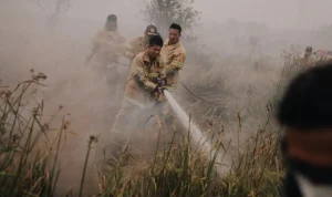 66 Titik Karhutla di Sumsel, Hanya 3 di Dalam Kota Palembang Saat ISPU Tembus 717