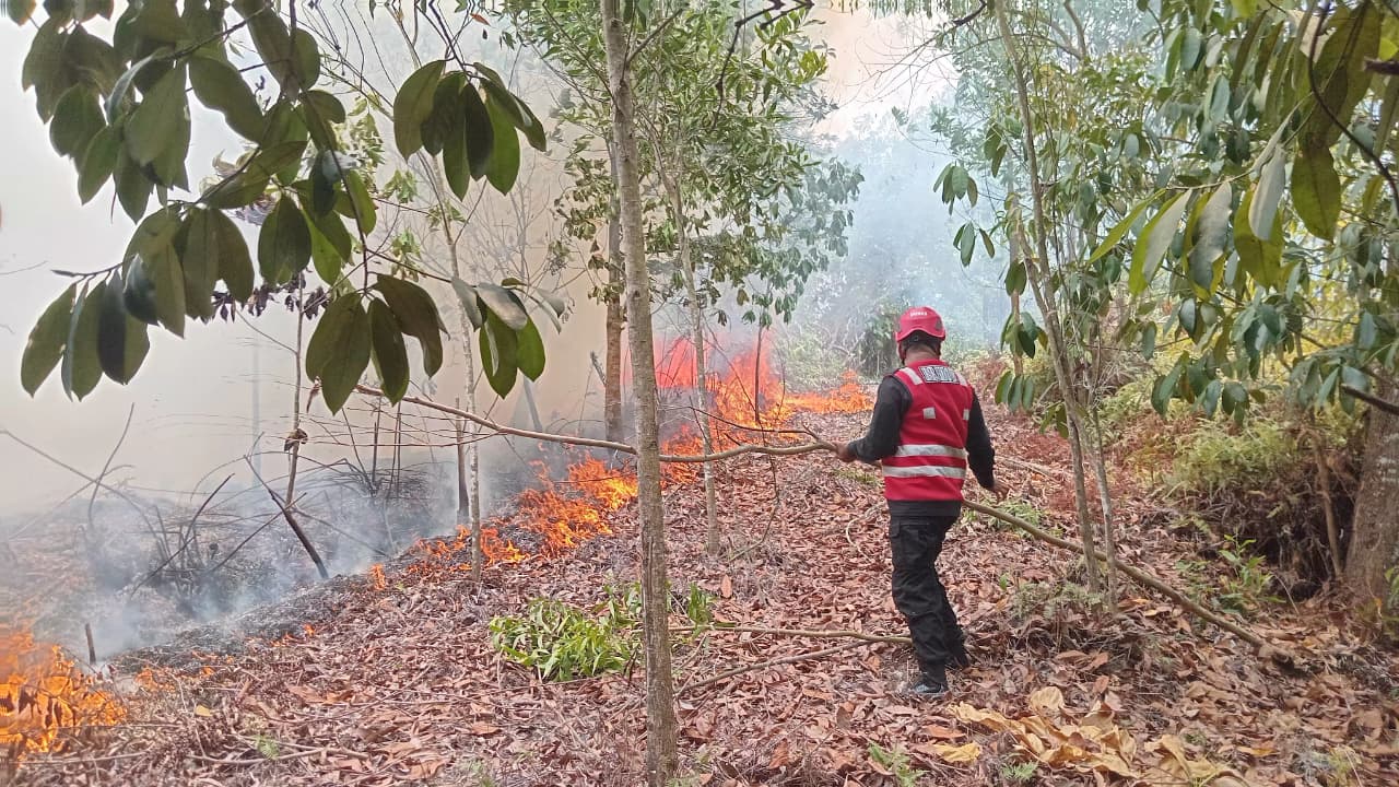 Brimob Kaltim Kerahkan Tim Respon Bencana Padamkan Karhutla di Balikpapan dan Kutai Barat, 100 Hektare Perkebunan Terbakar