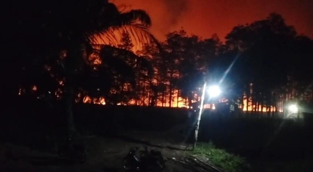 Karhutla Muaro Jambi Meluas, 626 Hektare Lahan Hangus dan 122 Kejadian Tercatat Sepanjang 2026