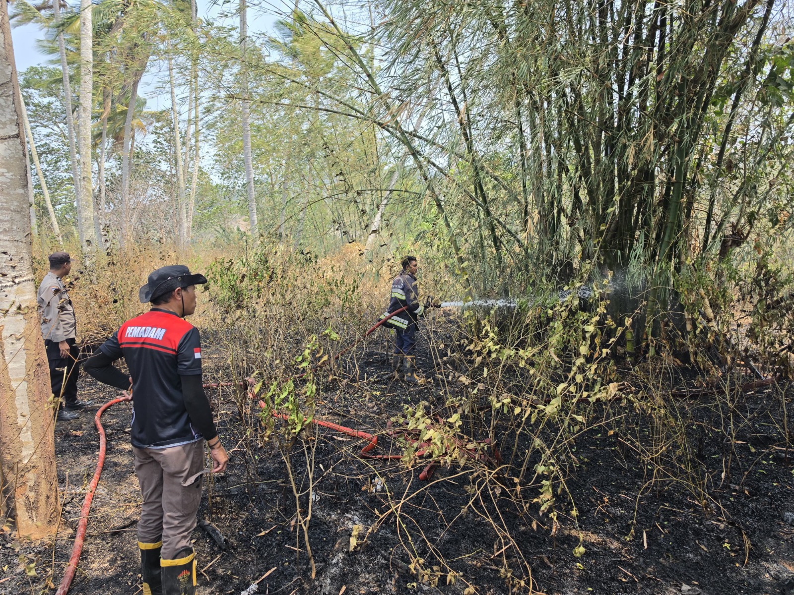 Satgas Karhutla Bone Bolango Terus Padamkan Api di Desa Pelita Hijau, Kerahkan Alkon hingga Opsi Helikopter