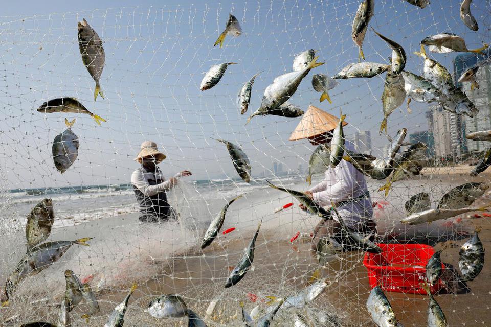 Ekonomi Vietnam Kuartal III 2026 Tumbuh 9,95%, Tercepat Sejak Pandemi