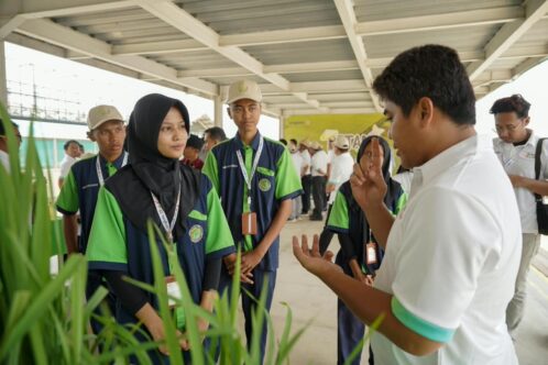 Syngenta Pamerkan Drone Pertanian dan Varietas NK Ningrat di Karawang