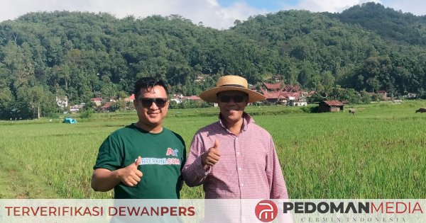 Warga Sopai Toraja Utara Pertanyakan Urgensi Terminal Tipe A di Lahan Sawah Produktif 3,1 Hektare