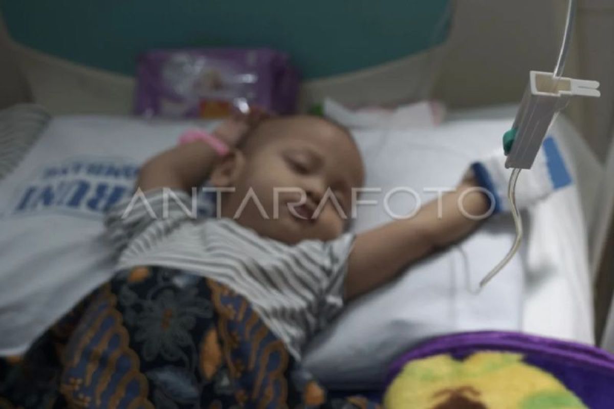 Dinkes Kaltim Wanti-wanti Lonjakan ISPA, Diare, dan DBD saat Kemarau di 10 Kabupaten Kota