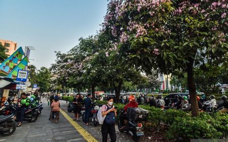 BMKG Prakirakan Seluruh Jakarta Cerah Jumat Ini, Suhu Maksimal 33 Derajat
