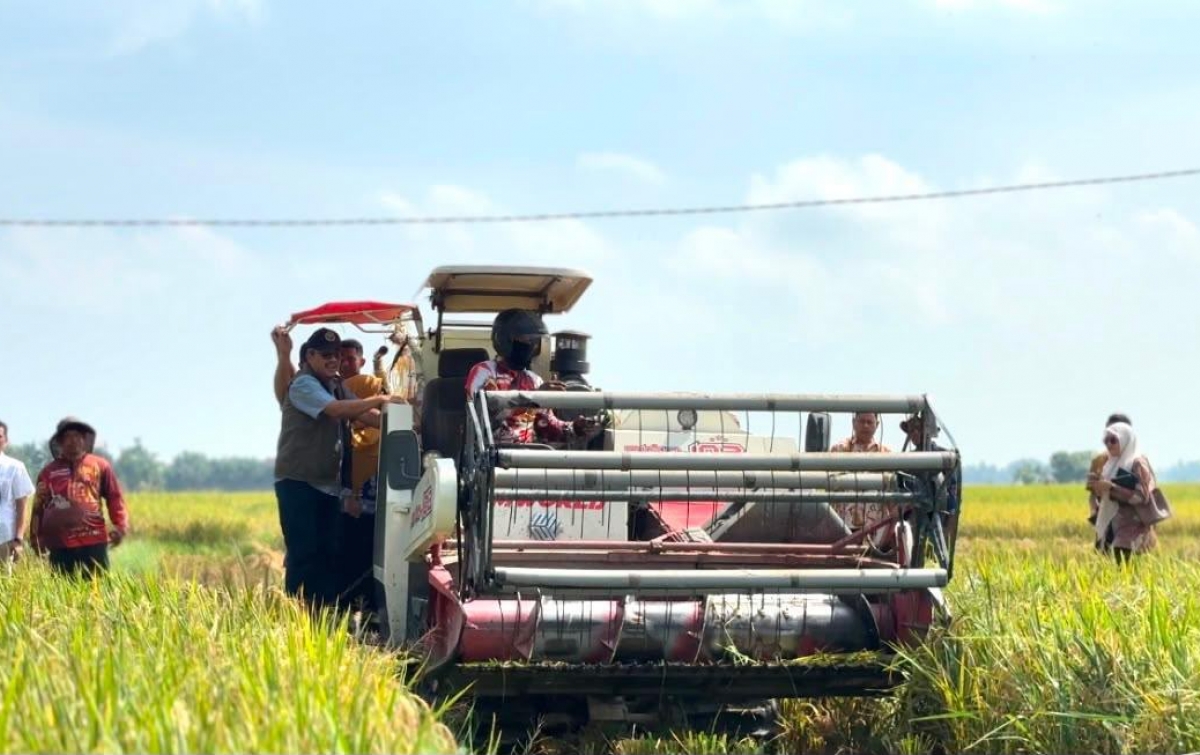 BULOG Tembus Rekor 4,1 Juta Ton Beras, Sumut Kejar Sisa Target