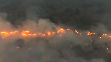 #PrayforKalimantan Menggema, Karhutla di Kalsel dan Kalteng Ancam Permukiman