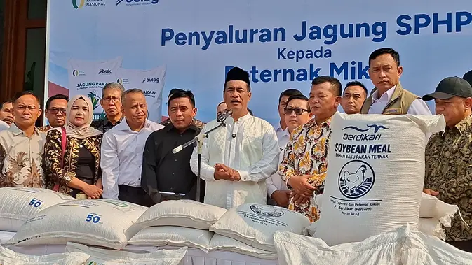 Amran Bagi Benih Jagung Gratis 20 Ribu Hektare, Bulog Jadi Penampung