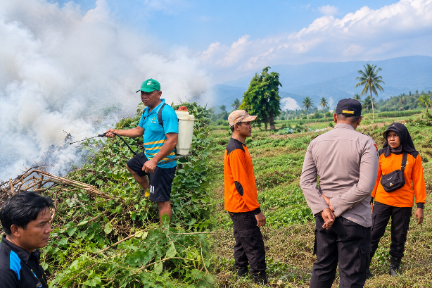 Karhutla di Parigi Moutong Hanguskan 1 Hektare Lahan Desa Ogomolos, Diduga dari Pembakaran Warga