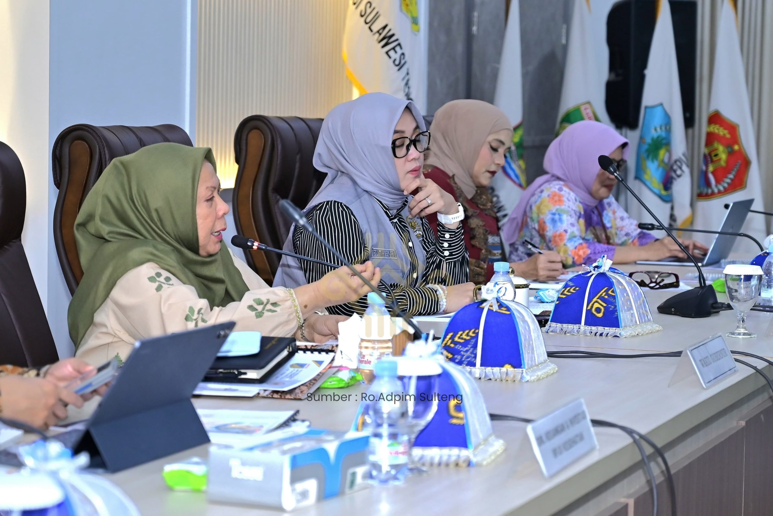 Wagub Sulteng Reny Lamadjido Minta DAK Kesehatan Danai Renovasi 220 Puskesmas dan Pemerataan Dokter Spesialis