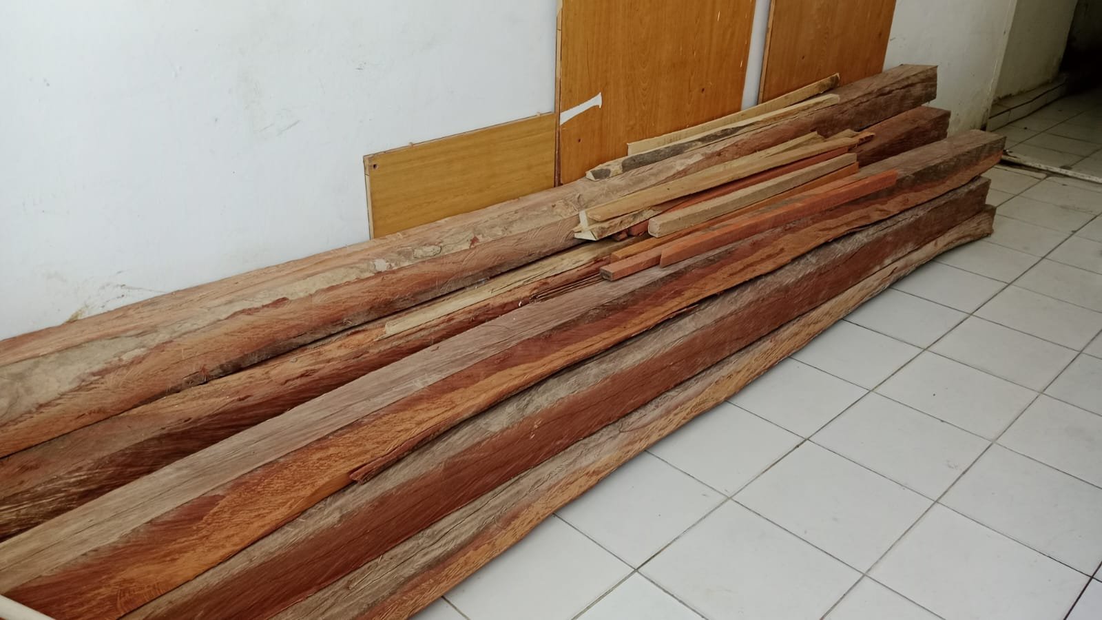 Dua Warga Soropia Konawe Kembali Ditangkap Tebang Pohon Ilegal di Tahura Nipa-Nipa, Kasus Dilimpahkan ke Gakkum