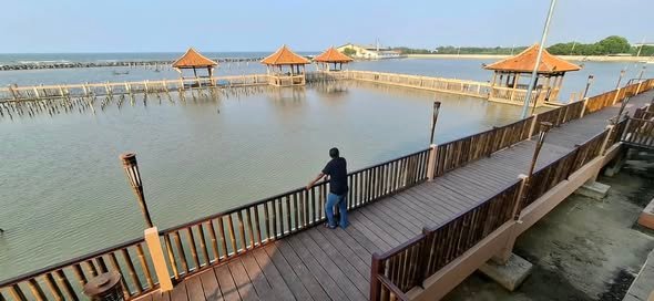 Kawasan Pekalongan Mangrove Park Dikembangkan Jadi Eduwisata, Anggaran Rp 5 Miliar untuk Dua Lokasi