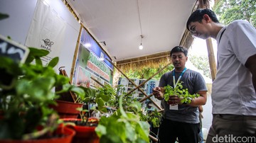 Festival Jejak Pangan Lestari 2026 di Lapangan Banteng Edukasi Warga