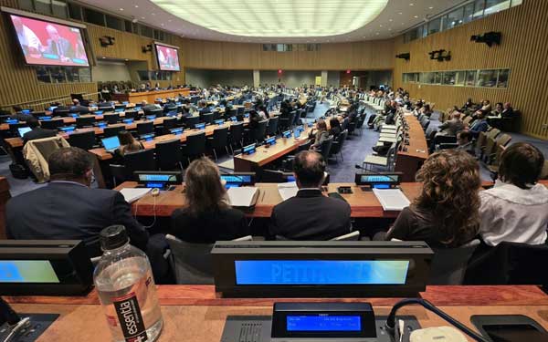 GREAT Institute Sebut Integrasi Papua ke Indonesia Sah di Mata Hukum Internasional, Ini Dasar Hukumnya