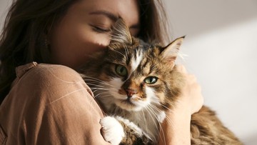 Kucing Punya Perasaan, tapi Tak Sama dengan Manusia