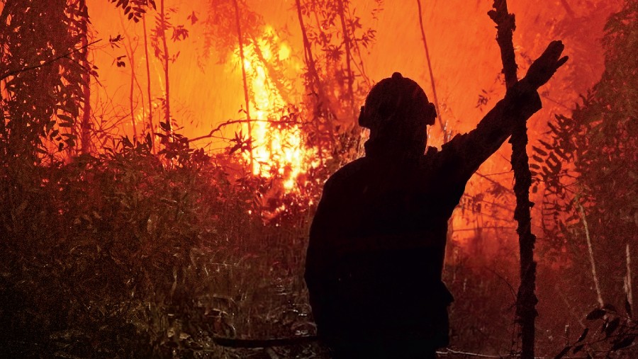 Bloomberg Businessweek: Kerugian El Nino Lampaui Rp120 Triliun