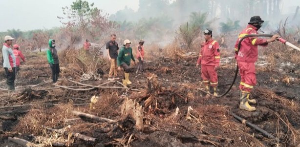 TRC BPBD Sulbar dan Tim Gabungan Masuki Hari Kedua Kendalikan Karhutla di Tommo Mamuju