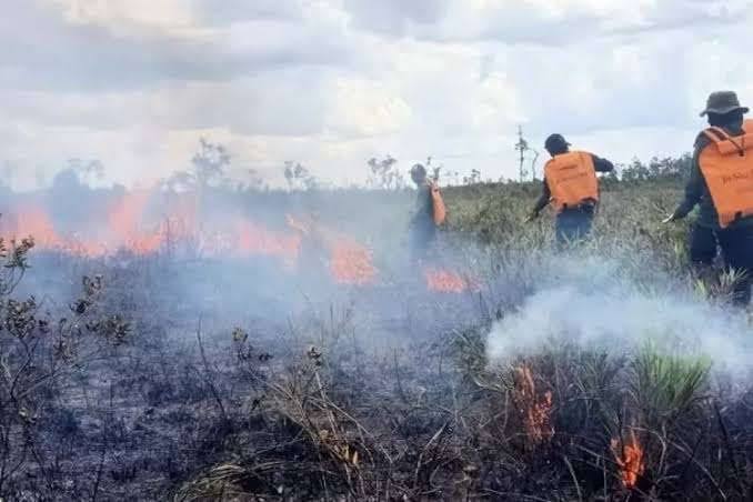 DPRD Jambi Awasi Ketat Pengadaan Darurat Karhutla Rp30 Miliar, BPBD Kuasai 62,62 Persen Anggaran