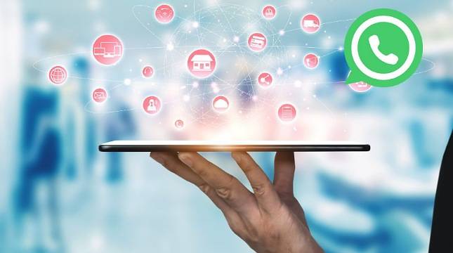 WhatsApp Web Kini Dukung Video Call Langsung dari Browser