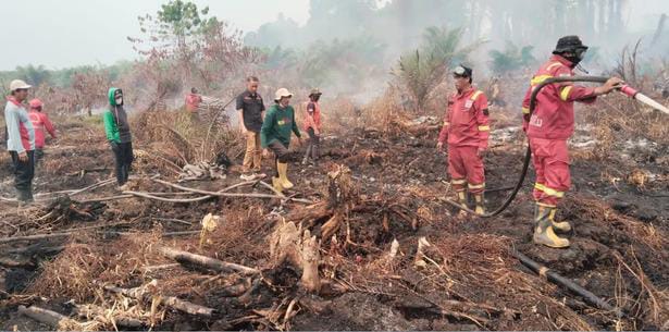 Karhutla Tommo Mamuju Hari Kedua, TRC BPBD Sulbar Kerahkan Personel Gabungan Kendalikan Api