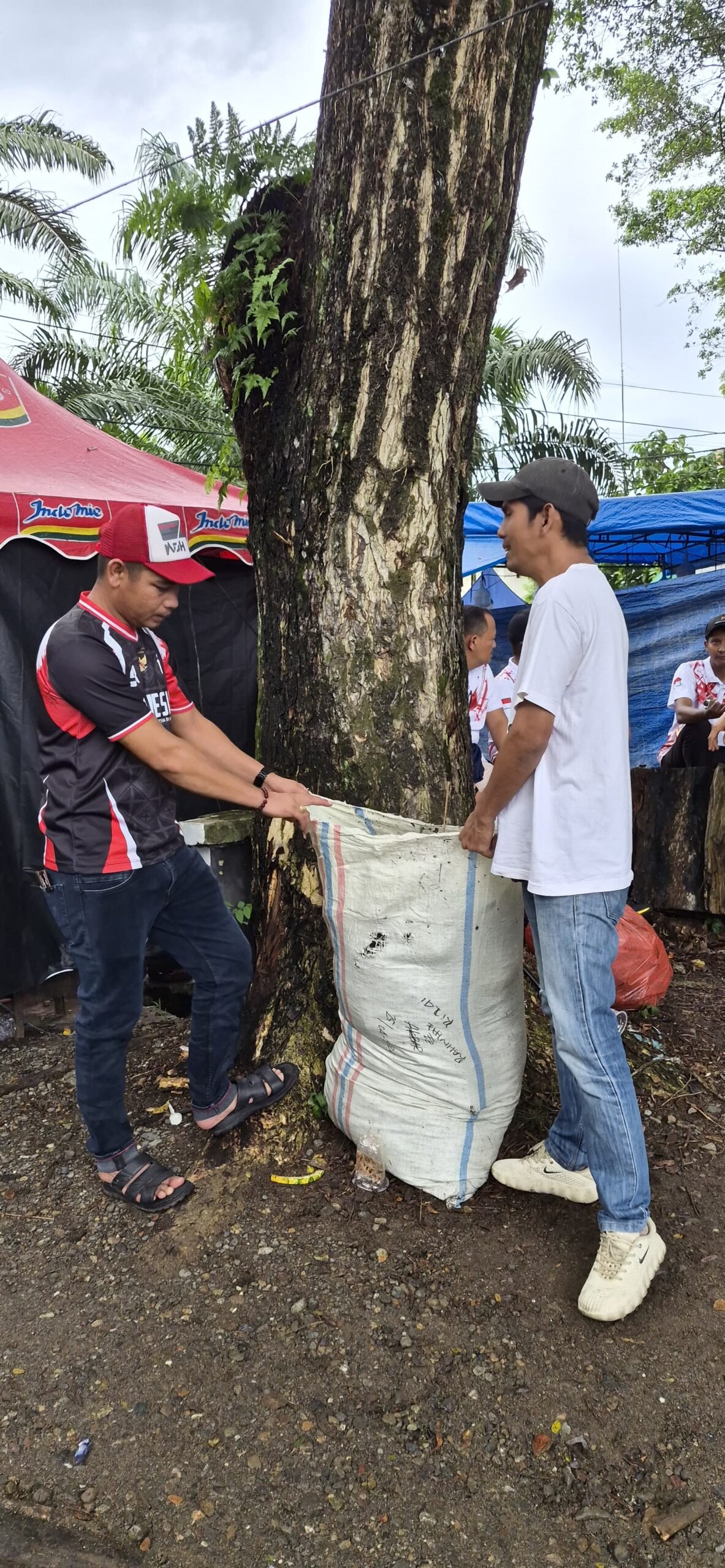 DLH Aceh Barat Kerahkan Petugas dan Tong Sampah di Lapangan Teuku Umar Selama HUT ke-438 Meulaboh