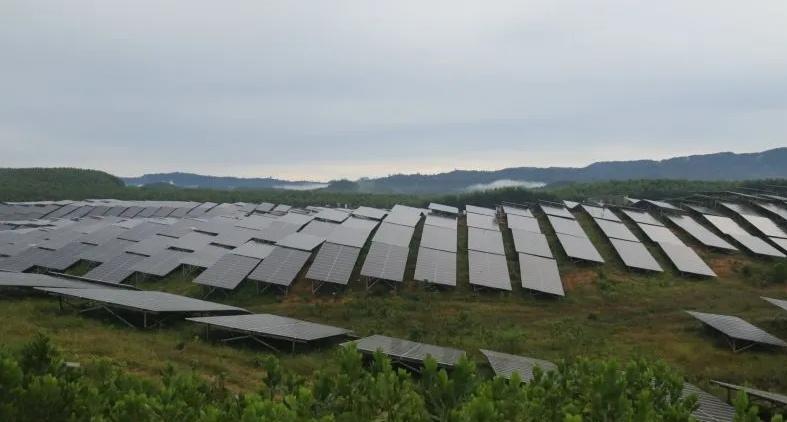 Pemprov Kaltim Bidik 20.026 MW Energi Terbarukan, Siap Topang IKN dan Tinggalkan Batu Bara