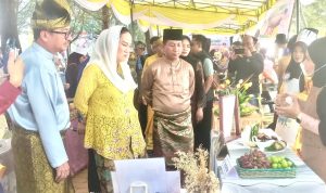 Bupati Natuna Tinjau Lomba Masak 25 Tim, Janjikan 50 Gerobak Usaha untuk UMKM Kuliner