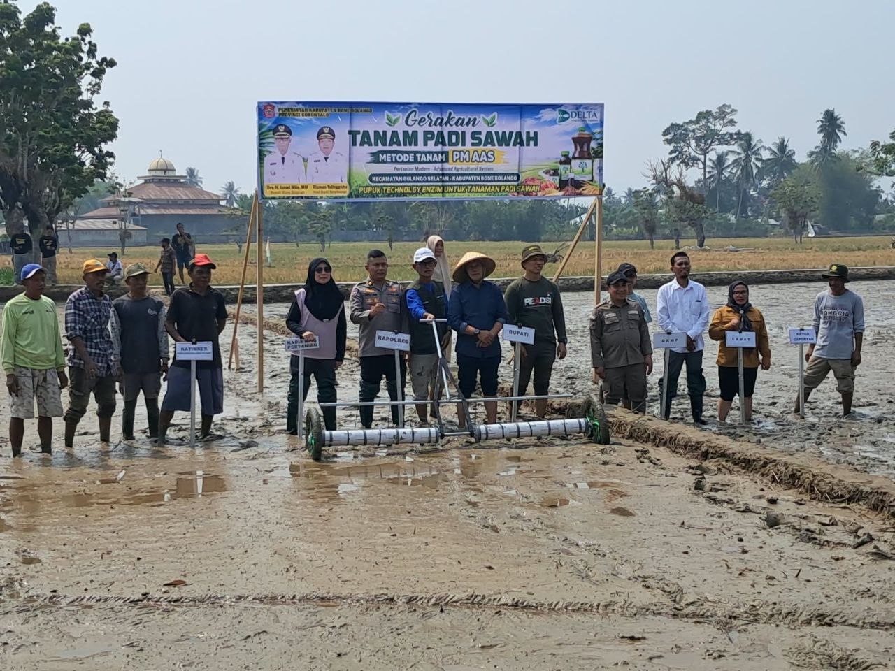 Pemkab Bone Bolango Kejar Produksi Padi 10 Ton per Hektare Lewat PM-AAS, Gerakan Tanam Serentak Digelar di Ayula Timur