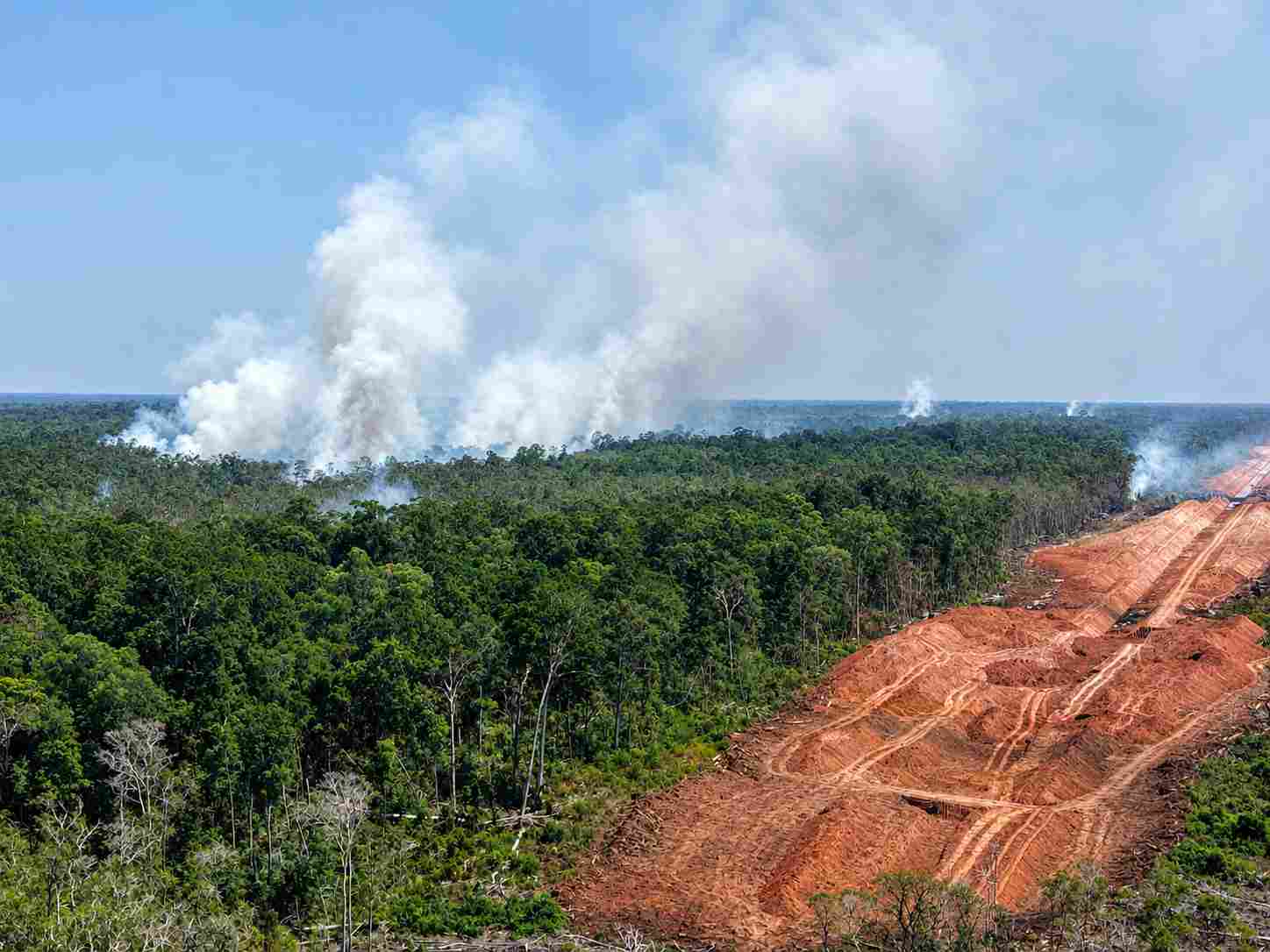 WALHI Temukan 8.324 Titik Panas di Papua Januari-Oktober 2026, Dominan di Kawasan Food Estate