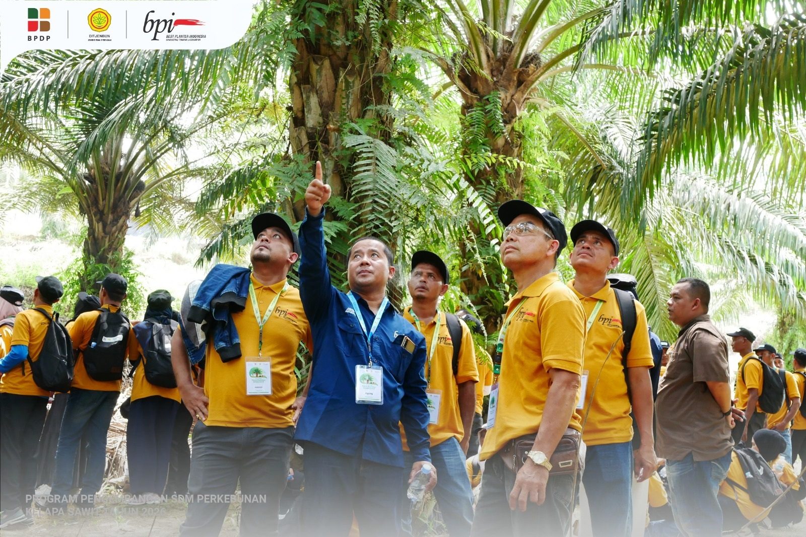 180 Petani Sawit Aceh Timur Ikuti Pelatihan Intensif Budi Daya Kelapa Sawit di Banda Aceh