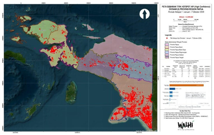 8.324 Titik Panas Kepung Papua, Walhi: Krisis Lingkungan Belum Tersampaikan Menyeluruh