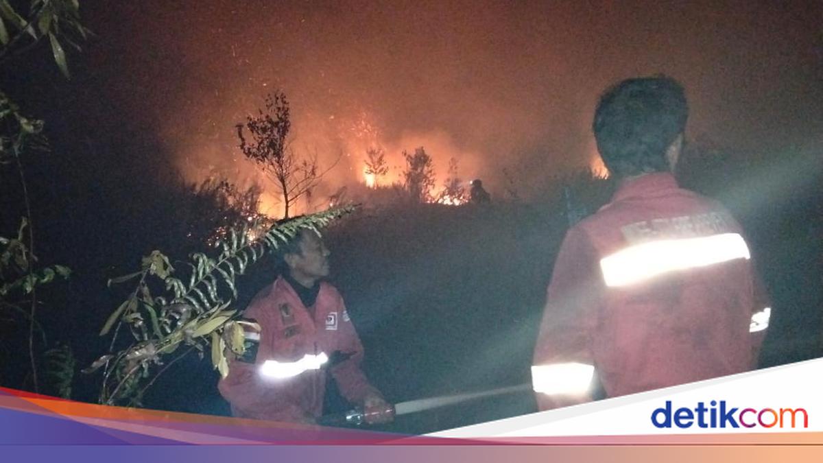 Manggala Agni Bertahan Padamkan Karhutla Kalbar, Akses Sulit dan Air Terbatas Jadi Penghambat