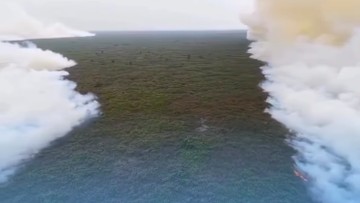 Karhutla Tanjung Puting Kalimantan Tengah, Relawan Kewalahan & Warga Serukan Water Bombing