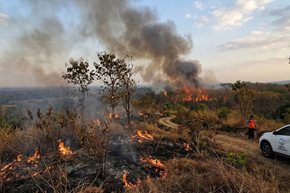 BMKG Semarang Prakirakan Cuaca Berawan Sepanjang Hari, 13 Daerah Jateng Berpotensi Hujan Ringan